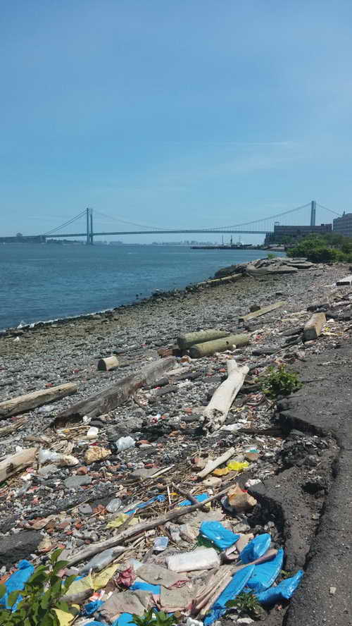 NYC_2015-06-14 13-52-01_CELL_20150614_135201